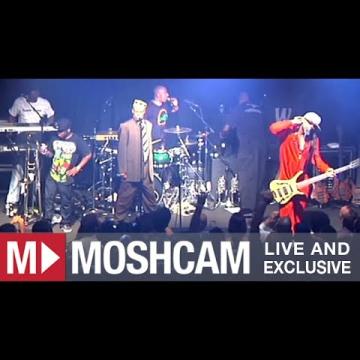 Preview image for the video "2012-03-23 Fishbone @ Independent - San Francisco - CA United States (video-2743)".