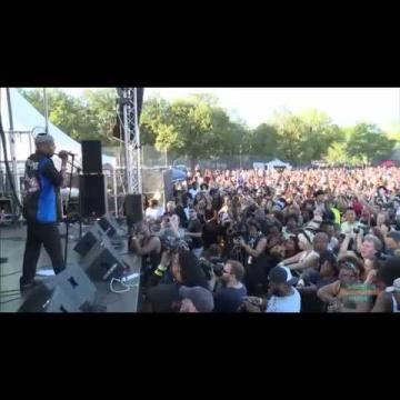 Preview image for the video "2014-08-24 Fishbone @ Afro-Punk Festival - Brooklyn - NY United States (video-2673)".