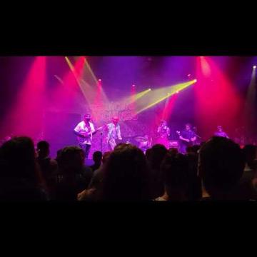 Preview image for the video "2025-06-11 Fishbone @ The Ritz - Raleigh - NC United States (video-21992)".