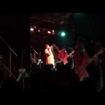 Preview image for the video "2017-04-01 Fishbone @ Bottom Lounge - Chicago - IL United States (video-3007)".