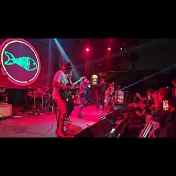 Preview image for the video "2024-12-20 Fishbone @ Garden Amp - Garden Grove - CA United States (video-21663)".