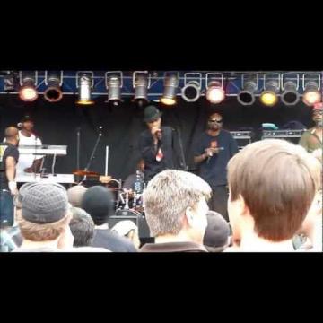 Preview image for the video "2012-06-15 Fishbone @ Frisco BBQ Fest - Frisco - CO United States (video-2351)".