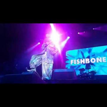 Preview image for the video "2017-09-02 Fishbone @ Ska Fest - México City - Mexico (video-3046)".