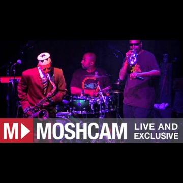 Preview image for the video "2012-03-23 Fishbone @ Independent - San Francisco - CA United States (video-2731)".