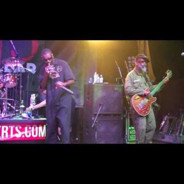 Preview image for the video "2016-07-22 Fishbone @ M15 - Corona - CA United States (video-2897)".