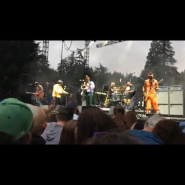 Preview image for the video "2019-08-10 Fishbone @ Oregon Zoo - Portland - OR United States (video-3104)".