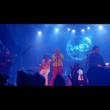 Preview image for the video "2024-12-11 Fishbone @ Hawthorne Theather - Portland - OR United States (video-21635)".