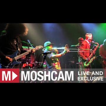 Preview image for the video "2012-03-23 Fishbone @ Independent - San Francisco - CA United States (video-2730)".