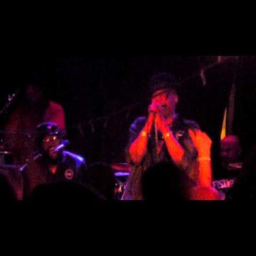 Preview image for the video "2015-09-16 Fishbone @ The Hollow - Albany - NY United States (video-2865)".