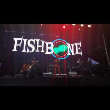 Preview image for the video "2024-06-08 Fishbone @ Pomona Fairplex - Pomona - CA United States (video-21469)".