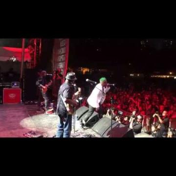 Preview image for the video "2016-08-28 Fishbone @ Afro-Punk Festival - Brooklyn - NY United States (video-2907)".