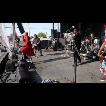 Preview image for the video "2023-08-27 Fishbone @ The Nursery - Chicago - IL United States (video-20639)".