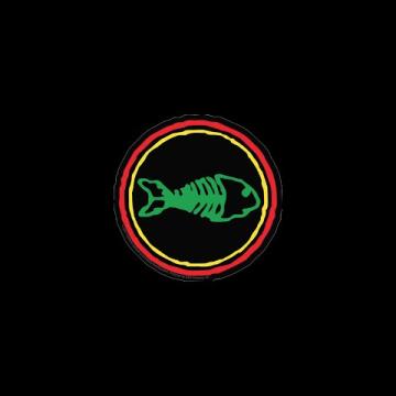 Preview image for the video "2023-11-25 Fishbone @ Fox Theater - Oakland - CA United States (video-20887)".