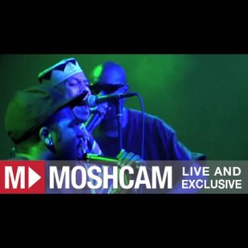 Preview image for the video "2012-03-23 Fishbone @ Independent - San Francisco - CA United States (video-2738)".