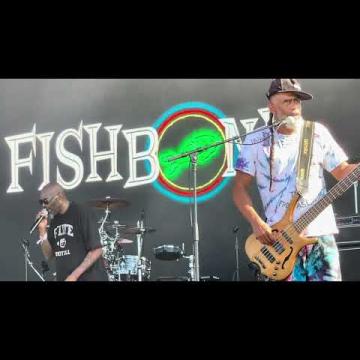 Preview image for the video "2021-09-17 Fishbone @ Riot Fest &amp; Carnival - Chicago - IL United States (video-22433)".