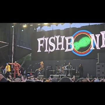 Preview image for the video "2024-06-08 Fishbone @ Pomona Fairplex - Pomona - CA United States (video-21466)".