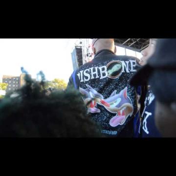 Preview image for the video "2014-08-24 Fishbone @ Afro-Punk Festival - Brooklyn - NY United States (video-2677)".
