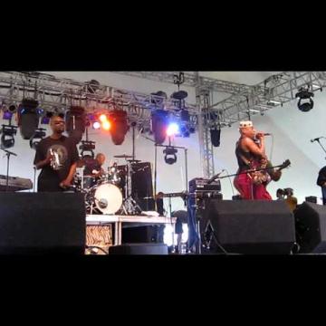 Preview image for the video "2010-06-05 Fishbone @ Wakarusa Festival - Ozark - AR United States (video-2535)".