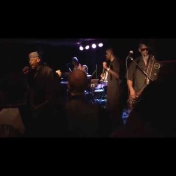 Preview image for the video "2016-11-19 Fishbone @ Rebel Lounge - Phoenix - AZ United States (video-3016)".