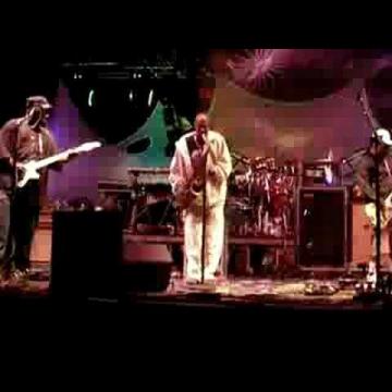 Preview image for the video "2008-08-30 Fishbone @ Moe.down Music Festival - Turin - NY United States (video-1956)".