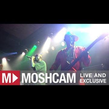 Preview image for the video "2012-03-23 Fishbone @ Independent - San Francisco - CA United States (video-2737)".