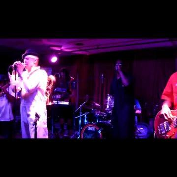 Preview image for the video "2015-08-01 Fishbone @ Zodiacs - Petaluma - CA United States (video-2842)".