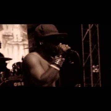 Preview image for the video "2012-06-02 Fishbone @ Benbow Lake State Rec Area - Garberville - CA United States (video-2352)".