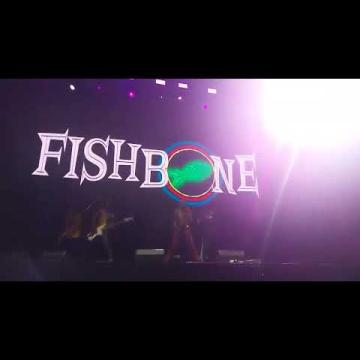 Preview image for the video "2024-06-08 Fishbone @ Pomona Fairplex - Pomona - CA United States (video-21468)".