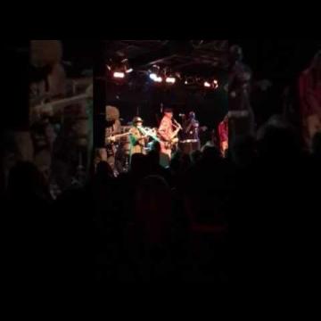 Preview image for the video "2017-04-01 Fishbone @ Bottom Lounge - Chicago - IL United States (video-3006)".