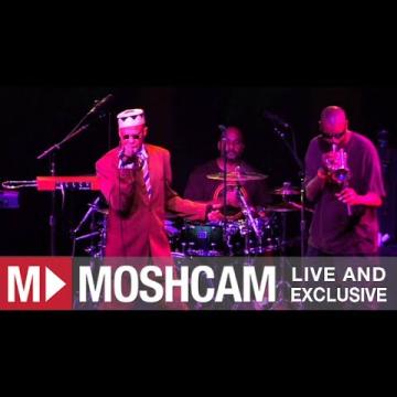 Preview image for the video "2012-03-23 Fishbone @ Independent - San Francisco - CA United States (video-2732)".