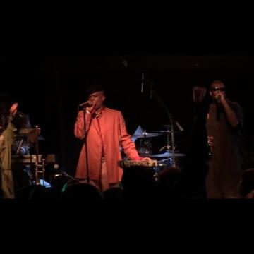 Preview image for the video "2017-04-01 Fishbone @ Bottom Lounge - Chicago - IL United States (video-2984)".
