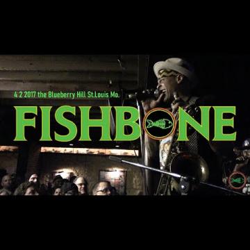 Preview image for the video "2017-04-02 Fishbone @ Duck Room at Blueberry Hill - St Louis - MO United States (video-20853)".