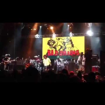 Preview image for the video "2016-08-28 Fishbone @ Afro-Punk Festival - Brooklyn - NY United States (video-2904)".