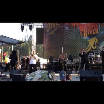 Preview image for the video "2014-08-01 Fishbone @ Reggae on The River - Garberville - CA United States (video-2651)".