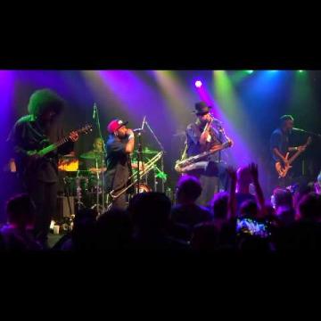 Preview image for the video "2014-09-13 Fishbone @ Independent - San Francisco - CA United States (video-2705)".