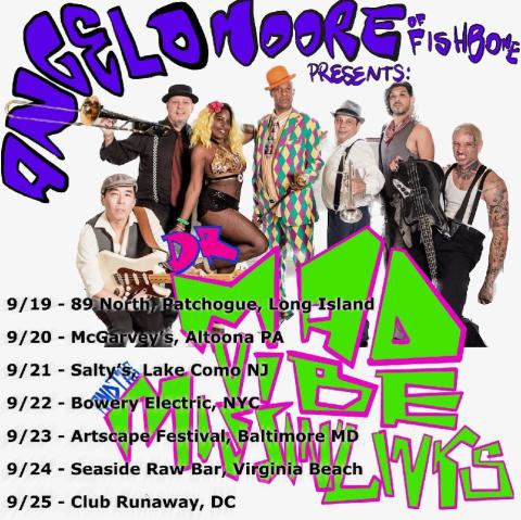 Dr Madd Vibe &amp; The Missin' Links East Coast Tour