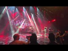 Preview image for the video "2025-09-27 Fishbone @ Westgate - Las Vegas - NV United States (video-22091)".