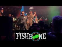 Preview image for the video "2018-12-21 Fishbone @ Great American Music Hall - San Francisco - CA United States (video-20691)".