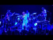 Preview image for the video "2026-04-12 Fishbone @ Mississippi Studios - Portland - OR United States (video-22340)".