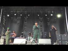Preview image for the video "2016-05-28 Fishbone @ Summer Camp Music Fesival - Chillicothe - IL United States (video-2890)".