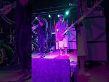 Preview image for the video "2023-08-23 Fishbone @ Magic Stick - Detroit - MI United States (video-20641)".