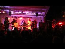 Preview image for the video "2015-05-09 Fishbone @ Hampton Block Party - Hampton - VA United States (video-2803)".