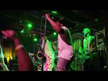 Preview image for the video "2024-12-23 Fishbone @ Crescent Ballroom - Phoenix - AZ United States (video-21669)".