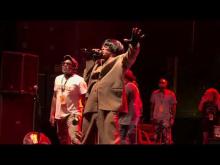 Preview image for the video "2025-07-29 Fishbone @ The Observatory North Park - San Diego - CA United States (video-22263)".