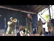 Preview image for the video "2015-09-26 Fishbone @ Bay Area Vibez Music Festival - Oakland - CA United States (video-2879)".