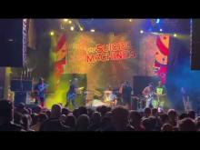 Preview image for the video "2025-06-07 Fishbone @ Masquerade - Atlanta - GA United States (video-21974)".