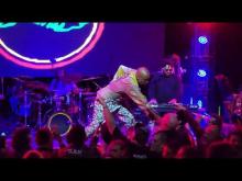 Preview image for the video "2024-12-20 Fishbone @ Garden Amp - Garden Grove - CA United States (video-21650)".