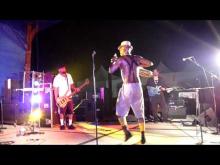 Preview image for the video "2010-06-25 Fishbone @ Skatopia - American Skate Festival - Rutland - OH United States (video-2127)".
