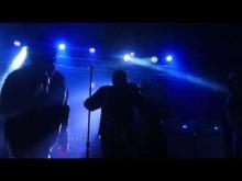 Preview image for the video "2023-04-25 Fishbone @ Brighton Music Hall - Allston - MA United States (video-20417)".