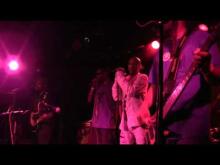 Preview image for the video "2010-12-10 Fishbone @ Brixton South Bay - Redondo Beach - CA United States (video-2194)".